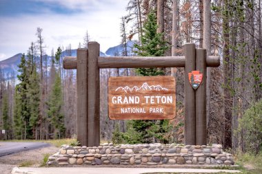 Wyoming USA 'deki Yellowstone Ulusal Park Doğa Sahneleri