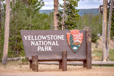 Wyoming USA 'deki Yellowstone Ulusal Park Doğa Sahneleri