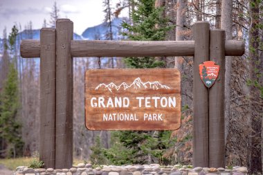 Wyoming USA 'deki Yellowstone Ulusal Park Doğa Sahneleri
