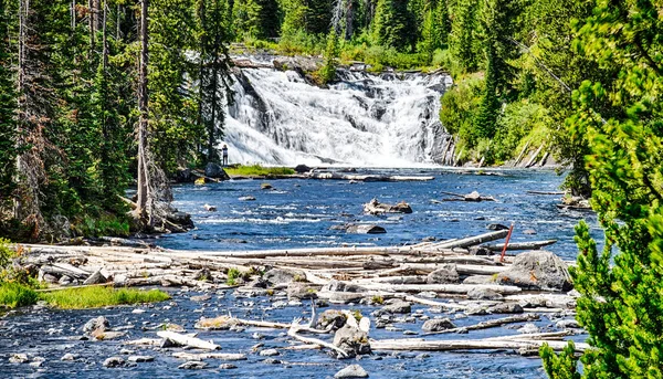 Yellowstone National Park Nature Scenes Wyoming Usa — Fotografia de Stock