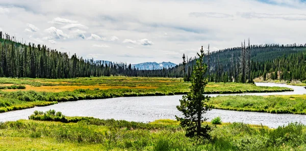 Yellowstone Národní Park Přírodní Scenérie Wyomingu Usa — Stock fotografie