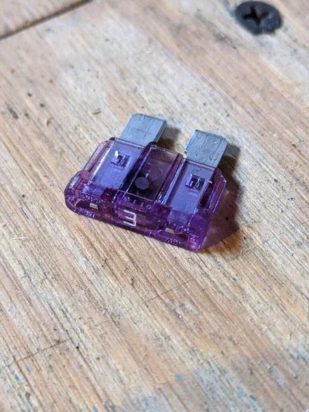 Фіолетовий Амперний Детонатор Фоні Лісу — стокове фото