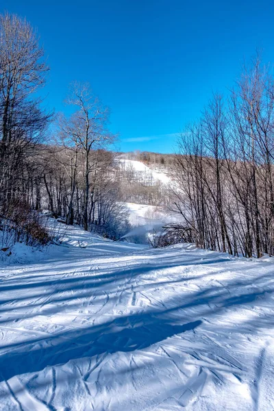 Skidåkning Skidorten North Carolina December — Stockfoto