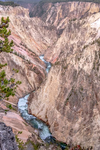 Lägre Fall Gulsten Nationalpark Från Konstnärspunkten Vid Solnedgången Wyoming Usa — Stockfoto