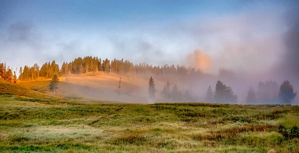 Hayden Valley Parque Nacional Yellowstone — Fotografia de Stock