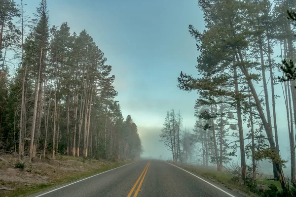 Hayden Valley Parque Nacional Yellowstone — Fotografia de Stock