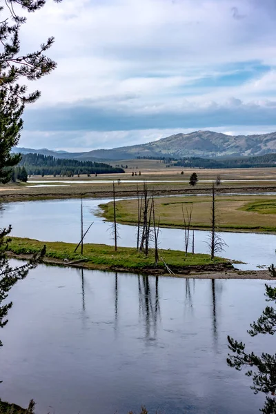 Hayden Valley Yellowstone River Yellowstone National Park — Stock Photo, Image