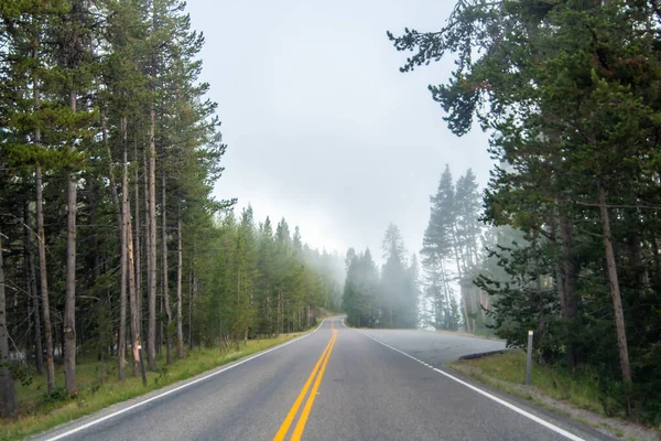 Hayden Valley Yellowstone River Parque Nacional Yellowstone — Fotografia de Stock