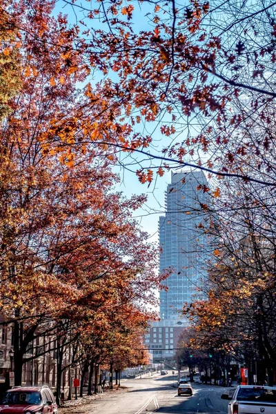 Панорама Города Шарлотт Маршал Парка Осеннего Сезона Голубым Небом — стоковое фото