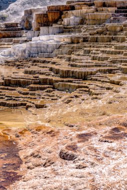 Travertine Terasları, Mamut Kaplıcaları, Yellowstone