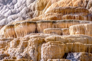 Travertine Terasları, Mamut Kaplıcaları, Yellowstone