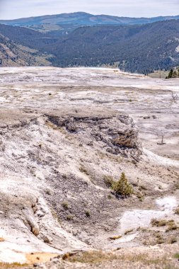 Yellowstone Ulusal Parkı 'ndaki Mamut Kaplıcaları. ABD