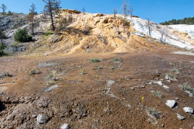 Yellowstone 'daki Mamut Kaplıcaları' nın güzel manzarası