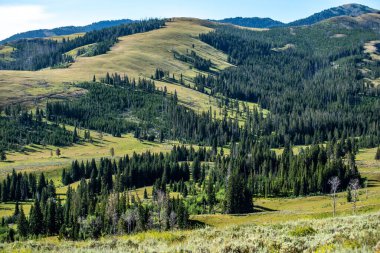 Wyoming, ABD 'deki Yellowstone Ulusal Parkı' ndaki Washburn Dağı manzarası.