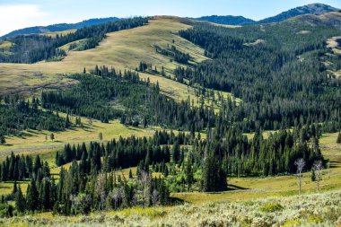 scenery at Mt Washburn trail in Yellowstone National Park, Wyoming, USA clipart