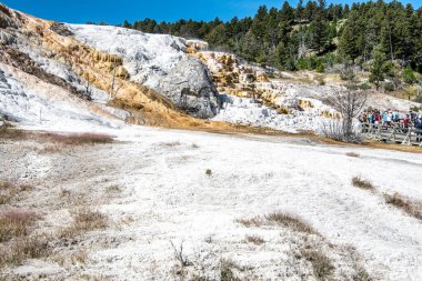Yellowstone 'daki Mamut Kaplıcaları' nın güzel manzarası
