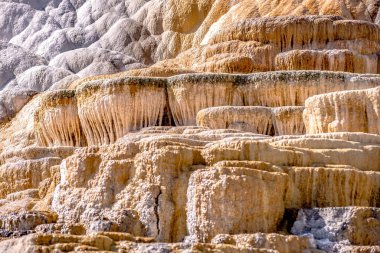 Travertine Terasları, Mamut Kaplıcaları, Yellowstone
