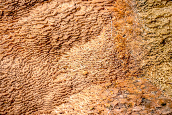 Травертиновые террасы, Горячие источники мамонтов, Желтый камень