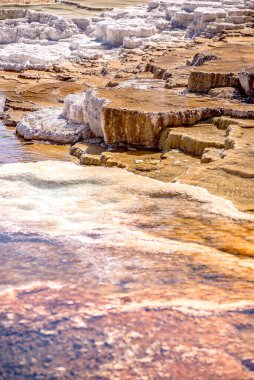 Travertine Terasları, Mamut Kaplıcaları, Yellowstone