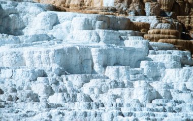 Travertine Terasları, Mamut Kaplıcaları, Yellowstone