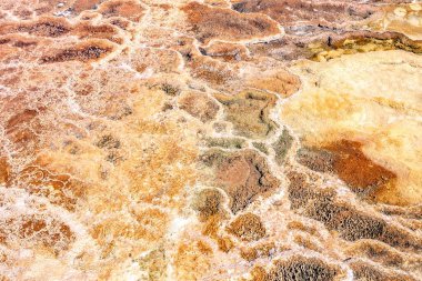 Yellowstone 'daki Mamut Kaplıcaları' nın güzel manzarası