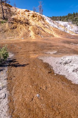 Yellowstone 'daki Mamut Kaplıcaları' nın güzel manzarası