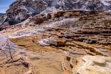 Yellowstone 'daki Mamut Kaplıcaları' nın güzel manzarası