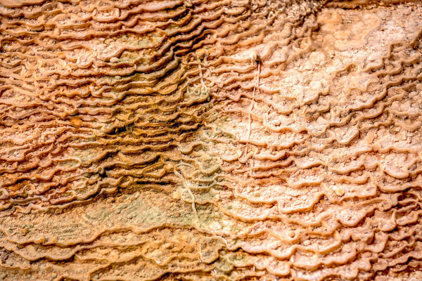 Травертиновые террасы, Горячие источники мамонтов, Желтый камень