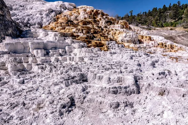 beautiful scenery at mammoth hot spring in yellowstone