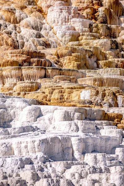 Travertine Terasları, Mamut Kaplıcaları, Yellowstone