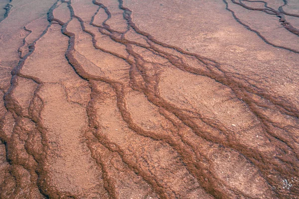 Grote Prismatische Lente Yellowstone National Park — Stockfoto