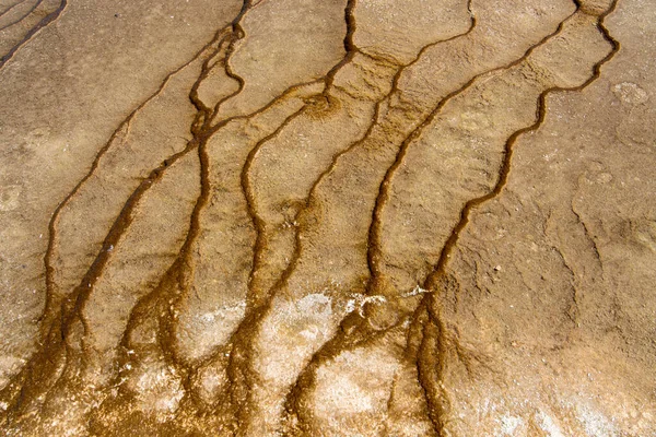 Grote Prismatische Lente Yellowstone National Park — Stockfoto