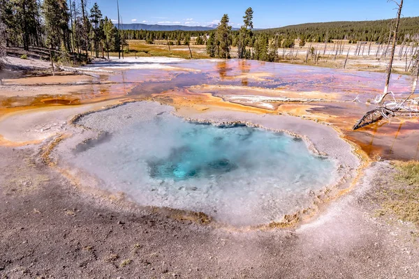 Grande Primavera Prismática Parque Nacional Yellowstone — Fotografia de Stock