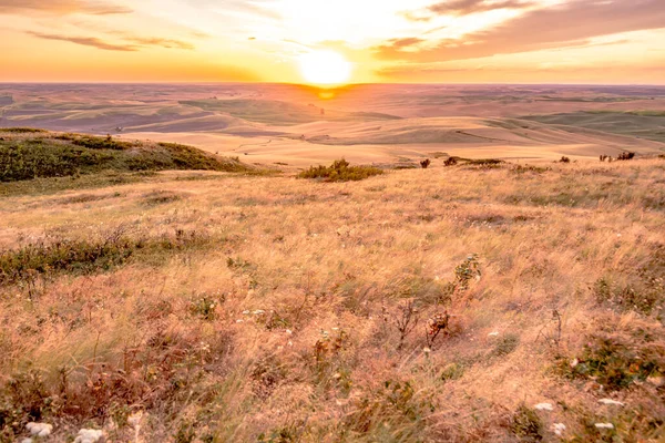 Hermoso Paisaje Campos Cultivo Región Palouse Del Este Washington — Foto de Stock