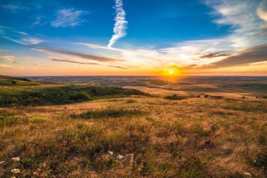 Doğu Washington 'daki Palouse bölgesindeki güzel ekin tarlaları.