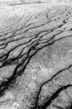 Yellowstone Ulusal Parkı 'nda Büyük Prismatik Bahar