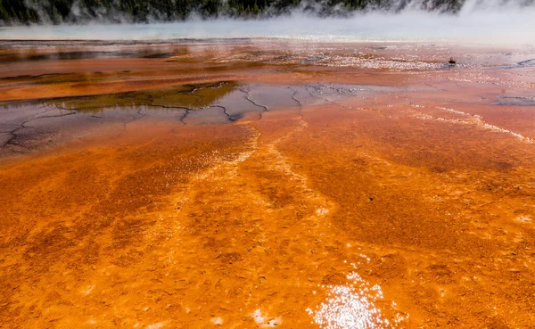 Grand Prismatic Spring Taman Nasional Yellowstone — Stok Foto