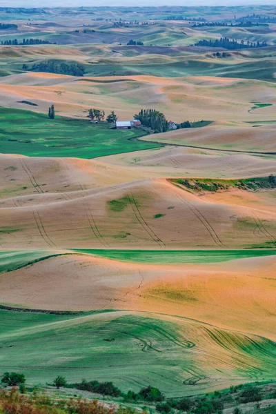 Hügellandschaft Und Farmland Bei Palouse Washington — Stockfoto
