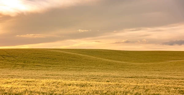 Rolling Hills Farm Land Palouse Washington — Fotografia de Stock