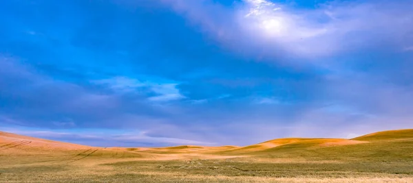 Rolling Hills Farm Land Palouse Washington — Fotografia de Stock