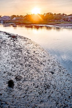 Güney Carolina 'daki Myrtle Sahili' nin girişindeki manzara ve görüntüler.