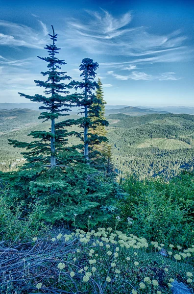 Prachtige Schilderachtige Natuur Uitzicht Spokane Berg Washington Staat — Stockfoto