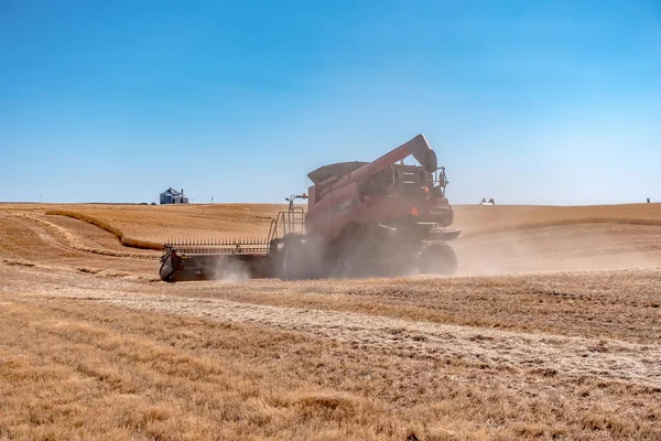 Harvesting Crops Palouse Washington Sunny Day — Fotografia de Stock