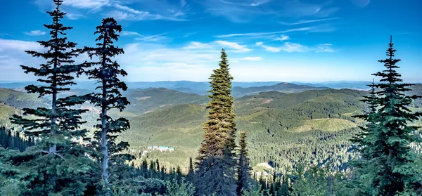 Vakker Naturutsikt Speokane Mountain Washington – stockfoto