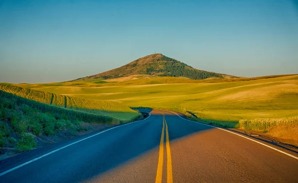 Granjas Trigo Mágico Palouse Washington — Foto de Stock