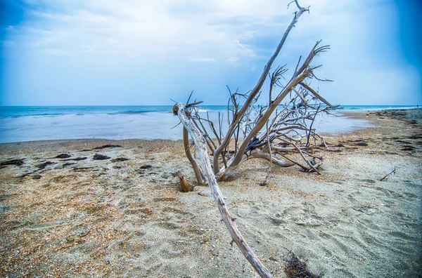 Cape Hatteras National Seashore op Hatteras Island noorden Carolin — Stockfoto