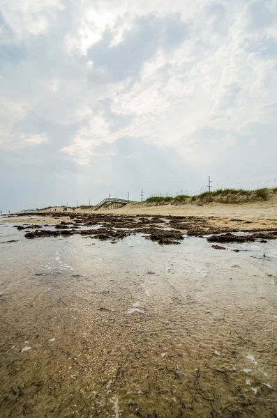 Cape Hatteras National Seashore on Hatteras Island North Carolin — Stock Photo, Image