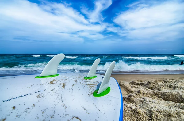 Tabla de surf y aletas a la espera de entrar en el agua del océano —  Fotos de Stock