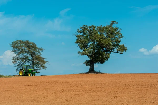 Campo de fazenda com árvore solitária — Fotografia de Stock