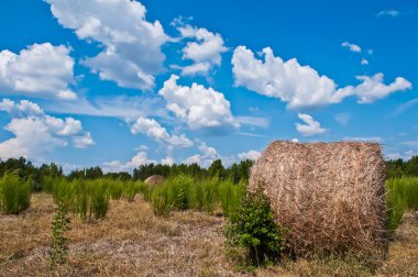 Gün batımına karşı çayırda Hay-roll